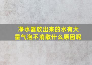 净水器放出来的水有大量气泡不消散什么原因呢