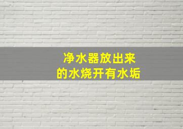 净水器放出来的水烧开有水垢