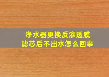 净水器更换反渗透膜滤芯后不出水怎么回事