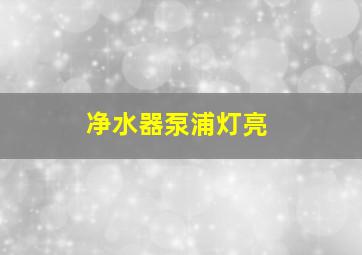 净水器泵浦灯亮