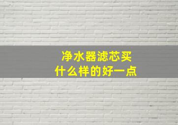 净水器滤芯买什么样的好一点