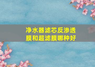 净水器滤芯反渗透膜和超滤膜哪种好