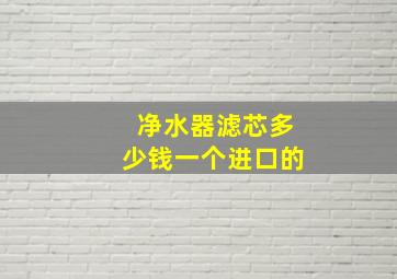 净水器滤芯多少钱一个进口的