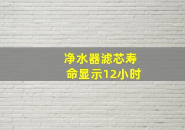 净水器滤芯寿命显示12小时