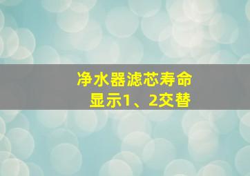 净水器滤芯寿命显示1、2交替