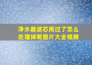 净水器滤芯用过了怎么处理掉呢图片大全视频