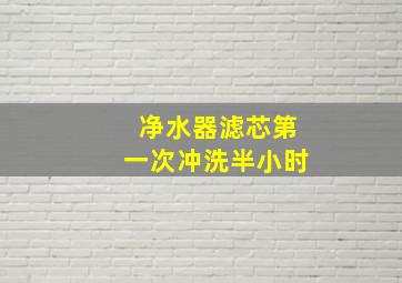 净水器滤芯第一次冲洗半小时