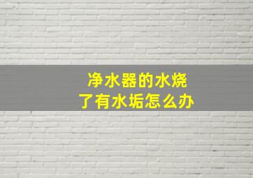 净水器的水烧了有水垢怎么办