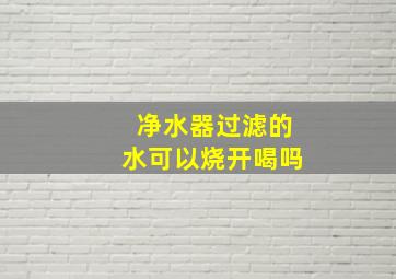 净水器过滤的水可以烧开喝吗