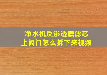 净水机反渗透膜滤芯上阀门怎么拆下来视频