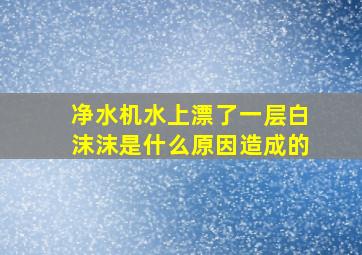 净水机水上漂了一层白沫沫是什么原因造成的