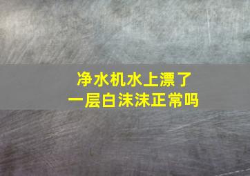 净水机水上漂了一层白沫沫正常吗