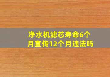 净水机滤芯寿命6个月宣传12个月违法吗