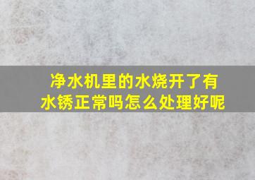 净水机里的水烧开了有水锈正常吗怎么处理好呢