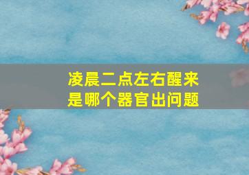 凌晨二点左右醒来是哪个器官出问题