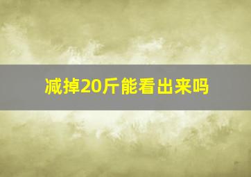 减掉20斤能看出来吗