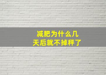 减肥为什么几天后就不掉秤了