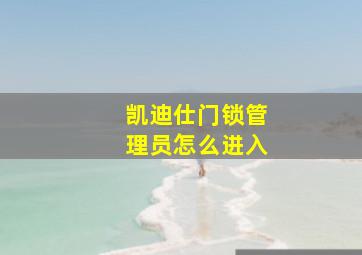 凯迪仕门锁管理员怎么进入