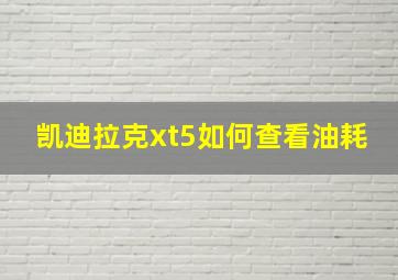 凯迪拉克xt5如何查看油耗