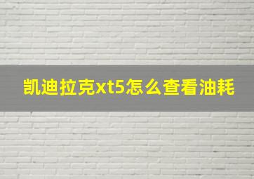 凯迪拉克xt5怎么查看油耗