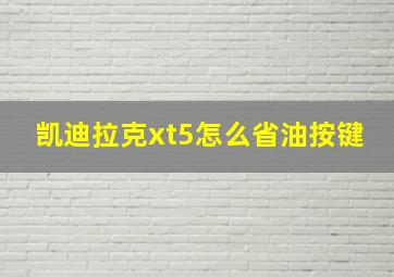 凯迪拉克xt5怎么省油按键