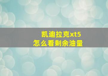 凯迪拉克xt5怎么看剩余油量