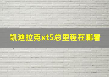 凯迪拉克xt5总里程在哪看