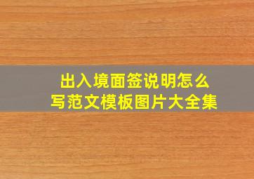 出入境面签说明怎么写范文模板图片大全集