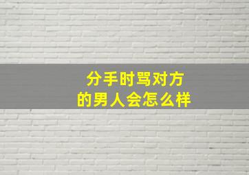 分手时骂对方的男人会怎么样