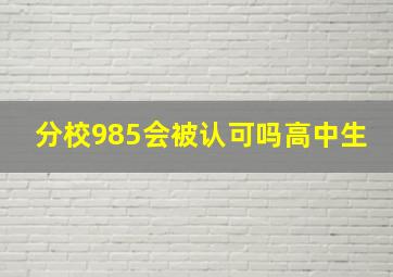 分校985会被认可吗高中生