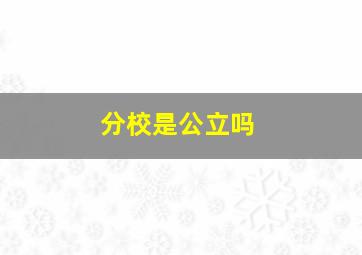 分校是公立吗