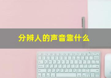 分辨人的声音靠什么