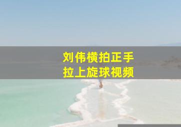 刘伟横拍正手拉上旋球视频