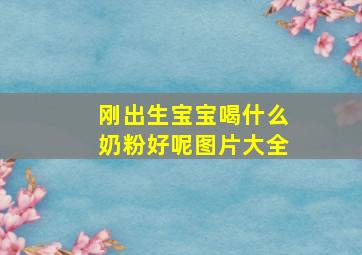 刚出生宝宝喝什么奶粉好呢图片大全