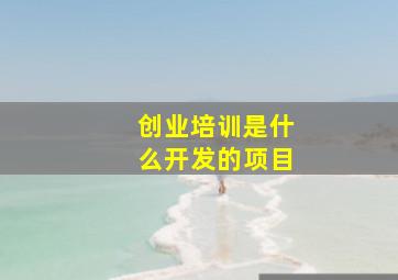 创业培训是什么开发的项目