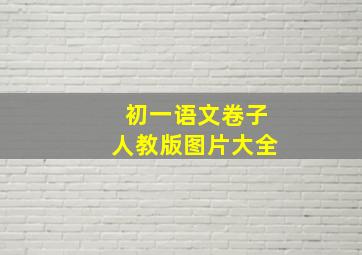 初一语文卷子人教版图片大全