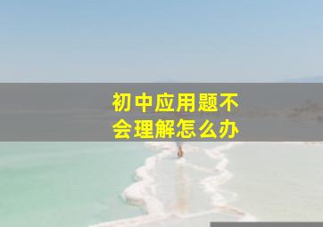 初中应用题不会理解怎么办