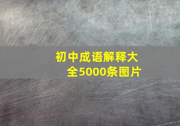 初中成语解释大全5000条图片