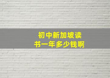 初中新加坡读书一年多少钱啊