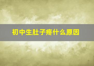 初中生肚子疼什么原因