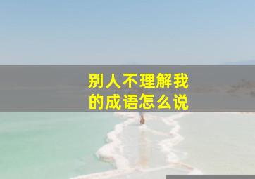 别人不理解我的成语怎么说