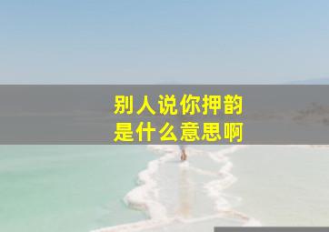 别人说你押韵是什么意思啊