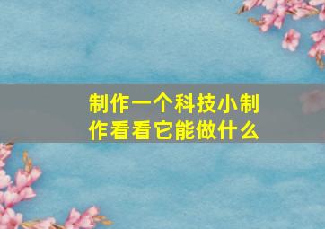 制作一个科技小制作看看它能做什么