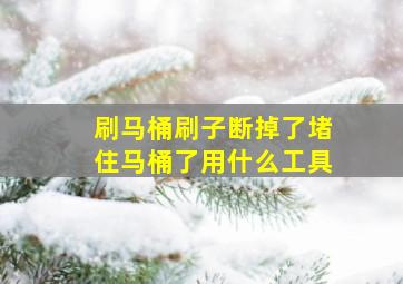 刷马桶刷子断掉了堵住马桶了用什么工具