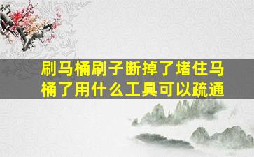 刷马桶刷子断掉了堵住马桶了用什么工具可以疏通