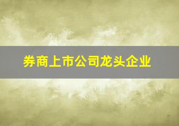 券商上市公司龙头企业