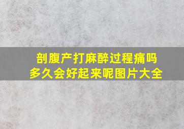 剖腹产打麻醉过程痛吗多久会好起来呢图片大全