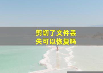 剪切了文件丢失可以恢复吗