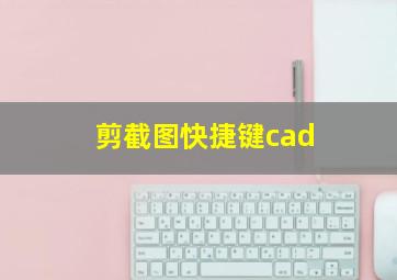 剪截图快捷键cad