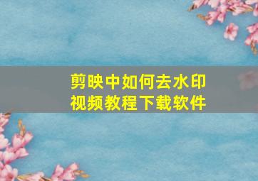 剪映中如何去水印视频教程下载软件